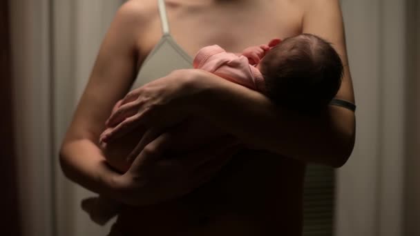 Bebê recém-nascido nos braços das mães — Vídeo de Stock