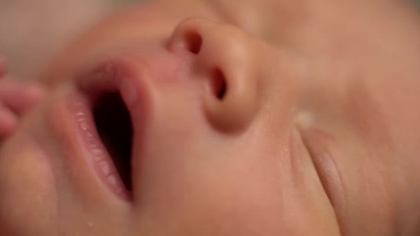 Новорожденный спящий ребенок, крупным планом — стоковое видео