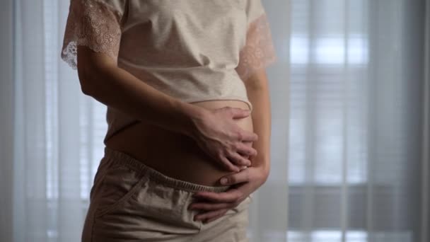 Una giovane donna incinta si sta accarezzando la pancia. Donna in attesa di un bambino — Video Stock