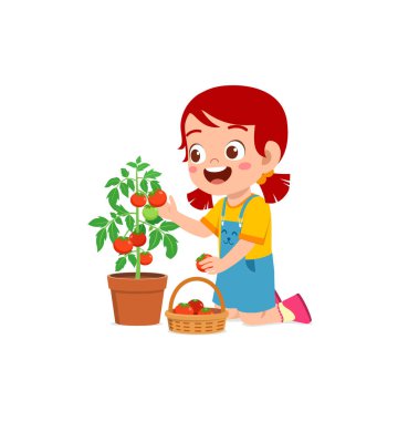 Küçük tatlı kız bahçede domates hasadı yapıyor.