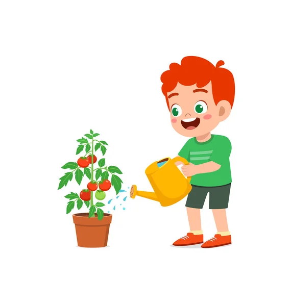 可爱的小男孩站在那里浇灌着西红柿树 — 图库矢量图片