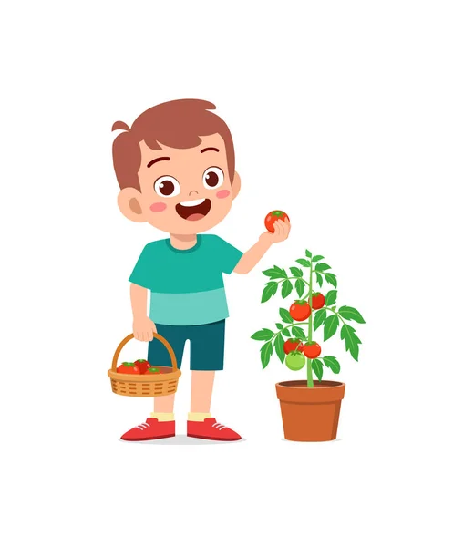 Carino Bambino Raccolto Pomodoro Giardino — Vettoriale Stock