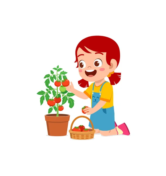 Carino Bambina Raccolto Pomodoro Giardino — Vettoriale Stock