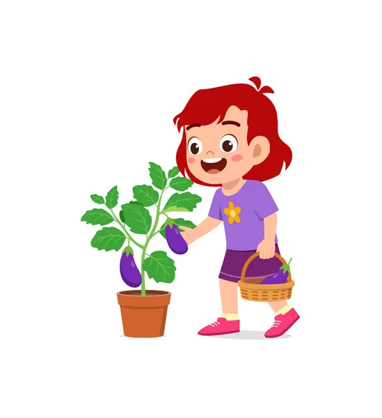 可爱的小女孩在花园里采摘茄子 — 图库矢量图片