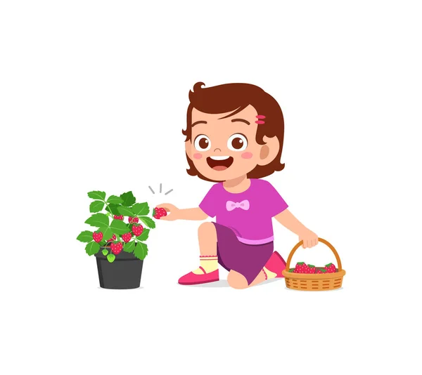 Küçük Tatlı Kız Bahçede Çilek Hasat Ediyor — Stok Vektör