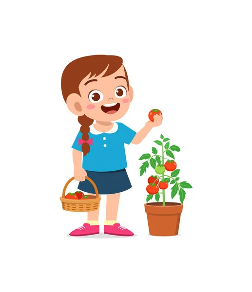 かわいい女の子が庭でトマトを収穫 — ストックベクタ