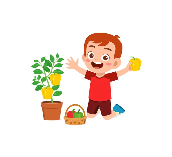 Netter Kleiner Junge Erntet Paprika Garten — Stockvektor