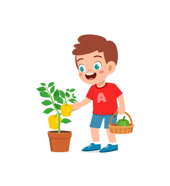 かわいい男の子が庭でパプリカを収穫 — ストックベクタ