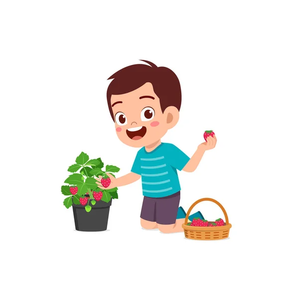 Χαριτωμένο Μικρό Αγόρι Συγκομιδή Φράουλα Στον Κήπο — Διανυσματικό Αρχείο