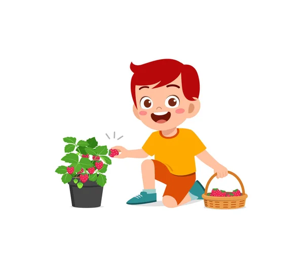 かわいい男の子が庭でイチゴを収穫 — ストックベクタ