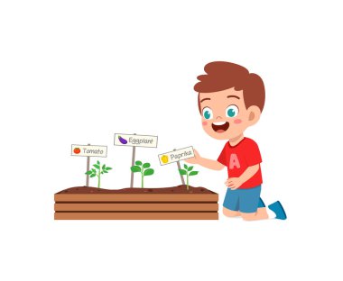 Şirin küçük çocuk sebze bitkisiyle ilgilen.