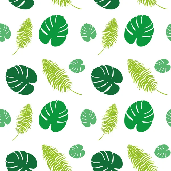 Зелений Папороть Пальмове Листя Білому Тлі Візерунок — стокове фото