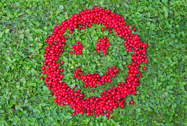 Kırmızı kuş üzümü smiley — Stok fotoğraf