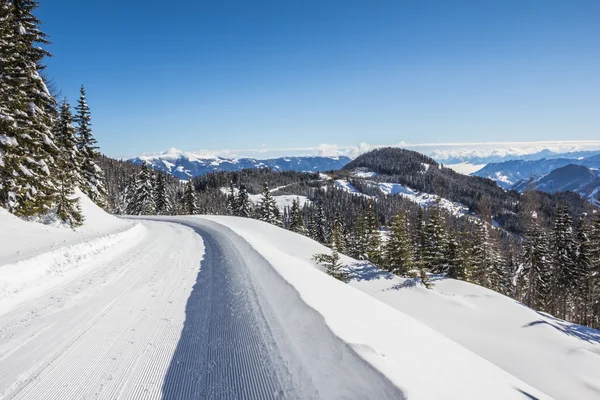 冬天的景色与树木雪和蓝色的天空 — 图库照片