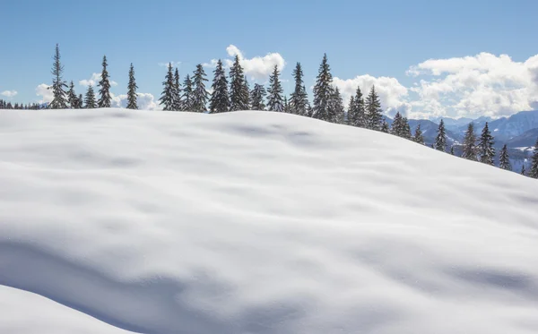 Paesaggio invernale con alberi neve e cielo blu — Foto Stock