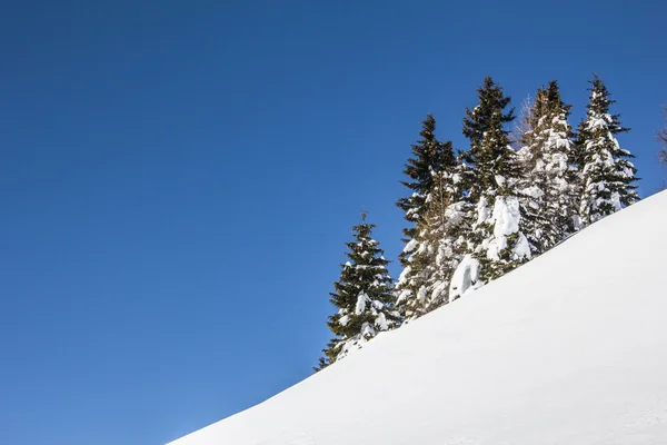 Paisaje de invierno con árboles Nieve y cielo azul — Foto de Stock