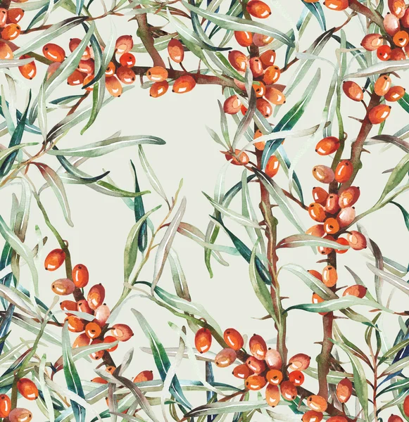 Buckthorn Seamless Pattern — Stock Photo, Image