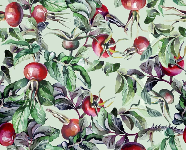 Rosehip Seamless Pattern — Stock Photo, Image