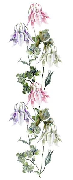 Guirnalda de Aquilegia — Foto de Stock