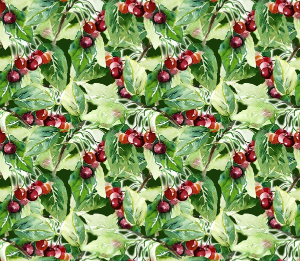 Cherry Seamless Pattern — Stock Photo, Image