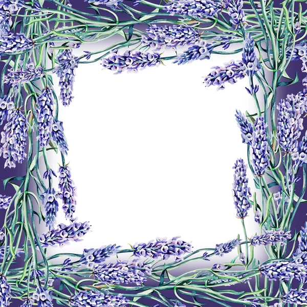 Lavendel ram — Stockfoto