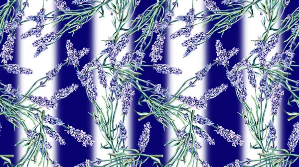 Lavendel seamless mönster — Stockfoto