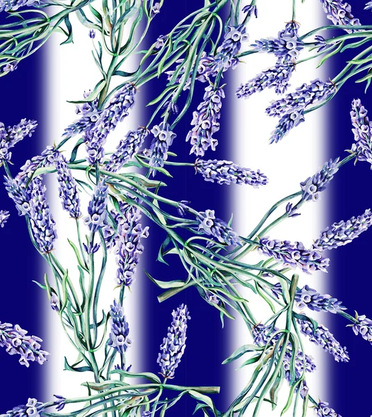 Lavendel naadloze patroon — Stockfoto