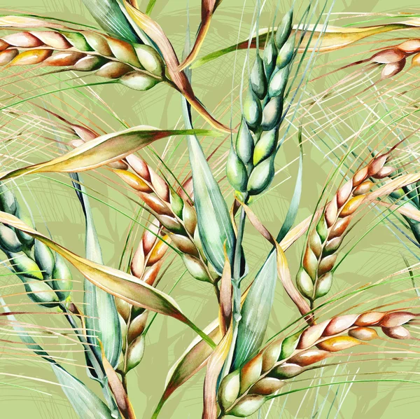 ライ麦のシームレスなパターン — ストック写真