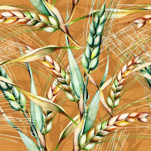 ライ麦のシームレスなパターン — ストック写真