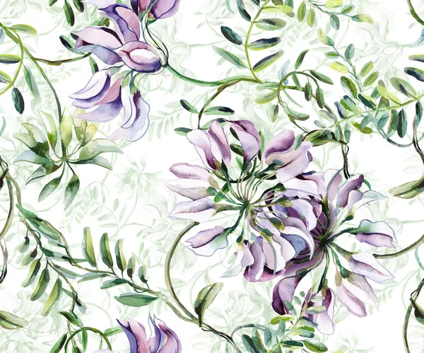 Vetch Seamless Pattern — Stock Photo, Image