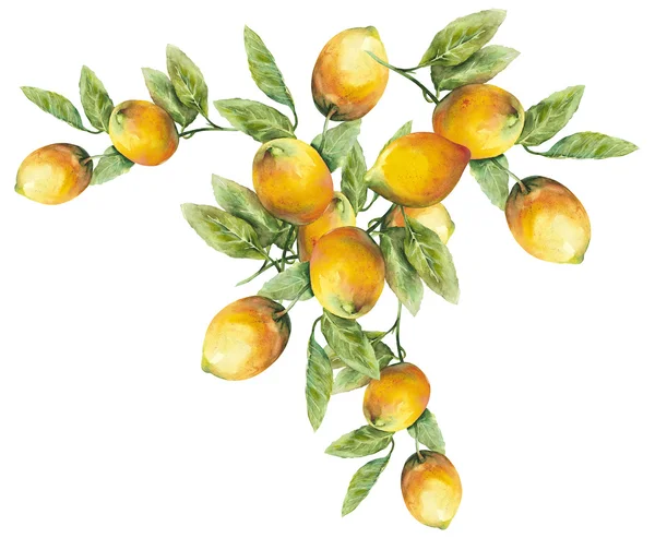Лимони візерунком — стокове фото