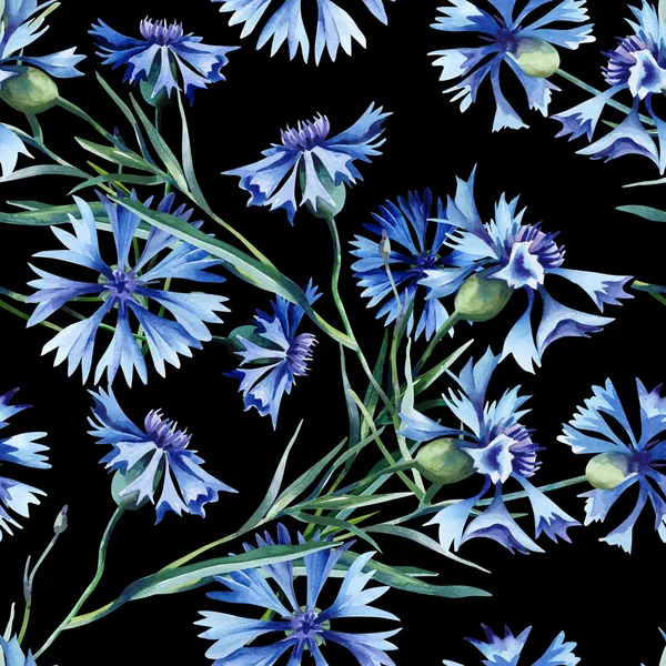 Cornflowers Patrón sin costura — Foto de Stock