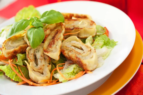 Maultaschen - Swabian Pockets with Meat — Stock Photo, Image