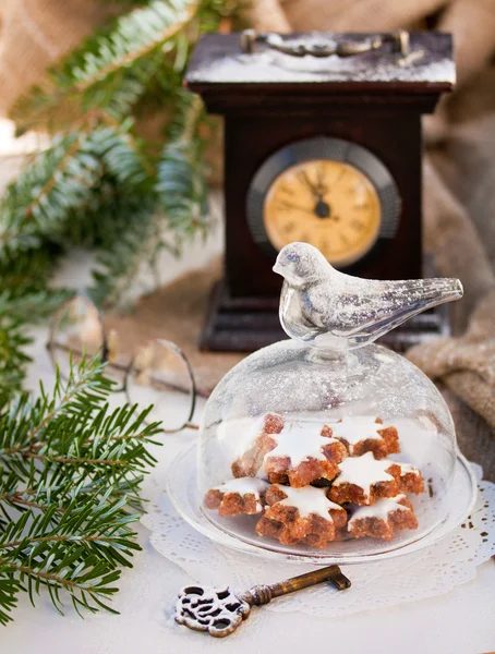 Soubory cookie pod sklem cloche — Stock fotografie