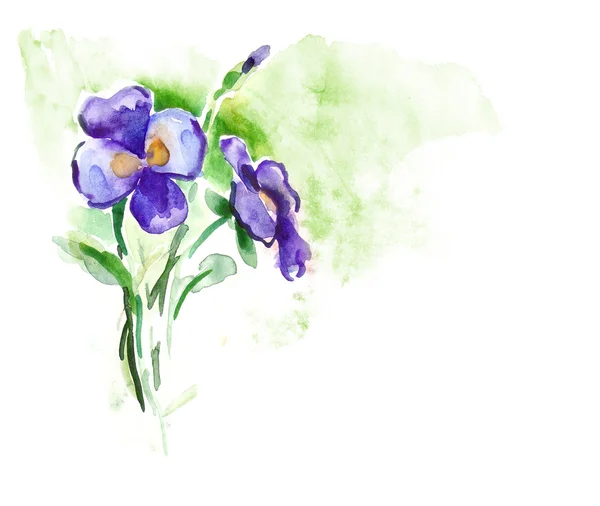 Pansy Flower — Stock Photo, Image