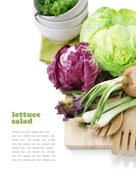 Lettuce salad — Stock Photo, Image