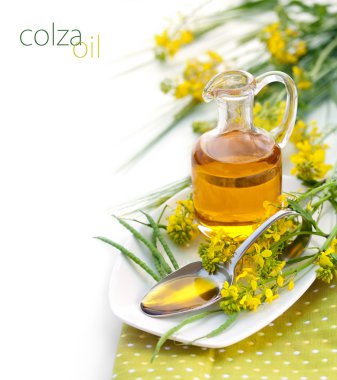 Rapeseed Oil clipart
