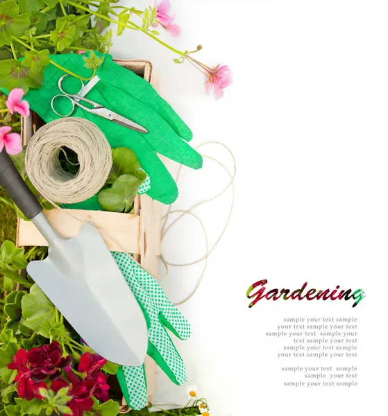 Gardening Time — Stock Photo, Image
