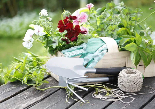 Gartenzeit — Stockfoto