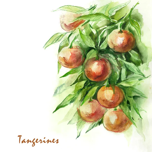 Tangerinas — Fotografia de Stock