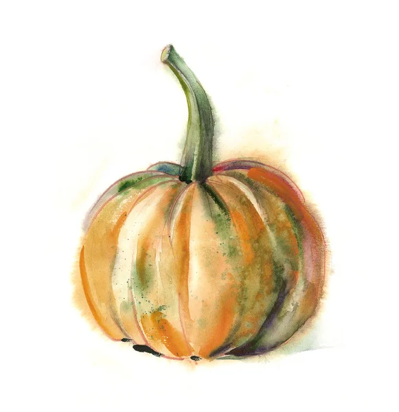 Calabaza —  Fotos de Stock