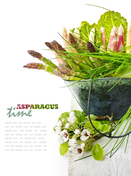 Vit och grön sparris — Stockfoto