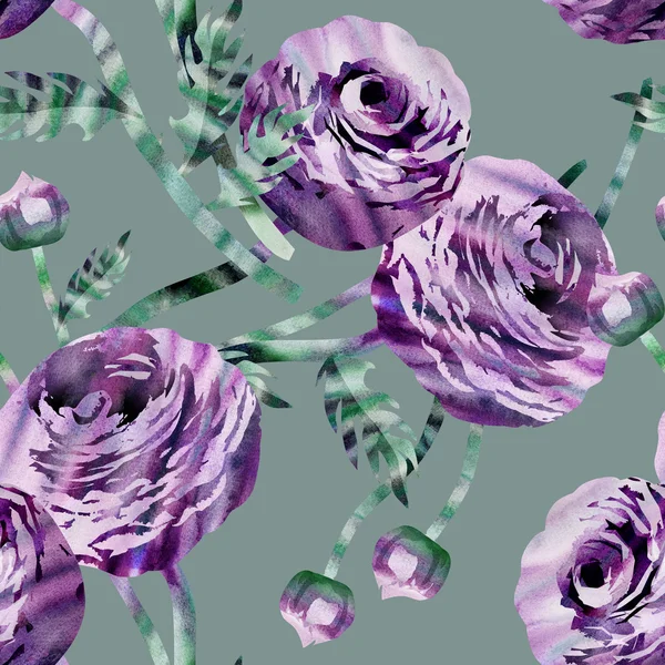 Ranunculus seamless mönster — Stockfoto