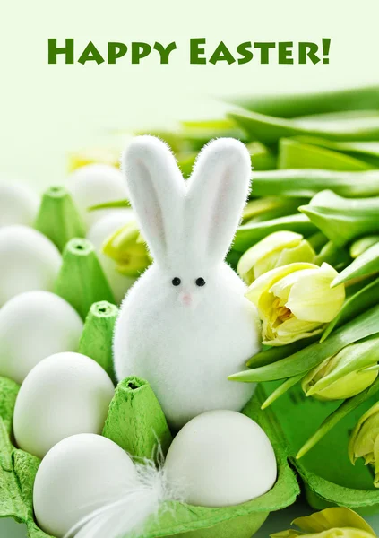 Easter bunny yumurta kutusu — Stok fotoğraf