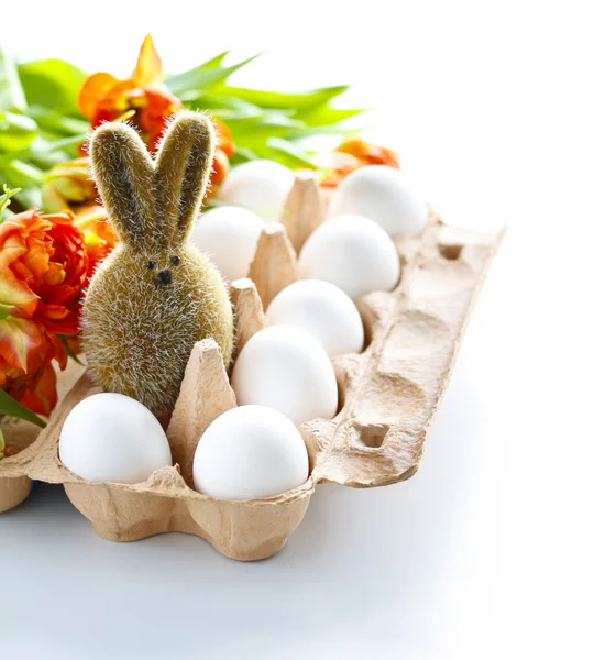 Coniglietto di Pasqua nella scatola delle uova — Foto Stock