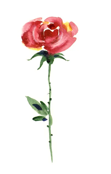 Ακουαρέλα - τριαντάφυλλα- — Φωτογραφία Αρχείου