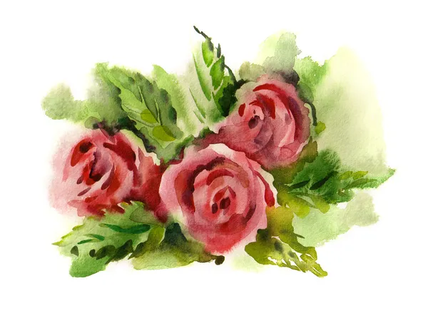 Aquarela-rosas - — Fotografia de Stock
