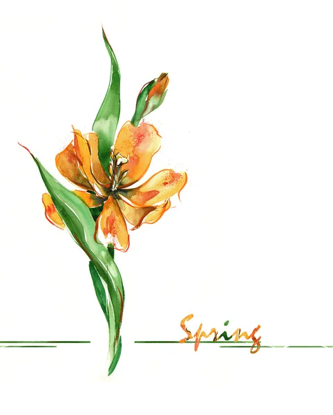 Watercolor -Yellow Tulips- — Stock Photo, Image