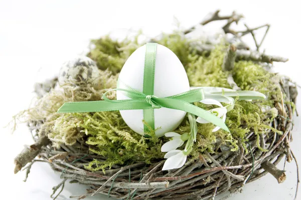 Yuvadaki paskalya yumurtası — Stok fotoğraf