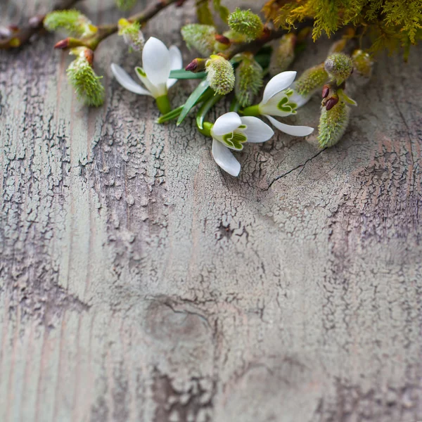 Spring Background with Flowers — Stock Photo, Image